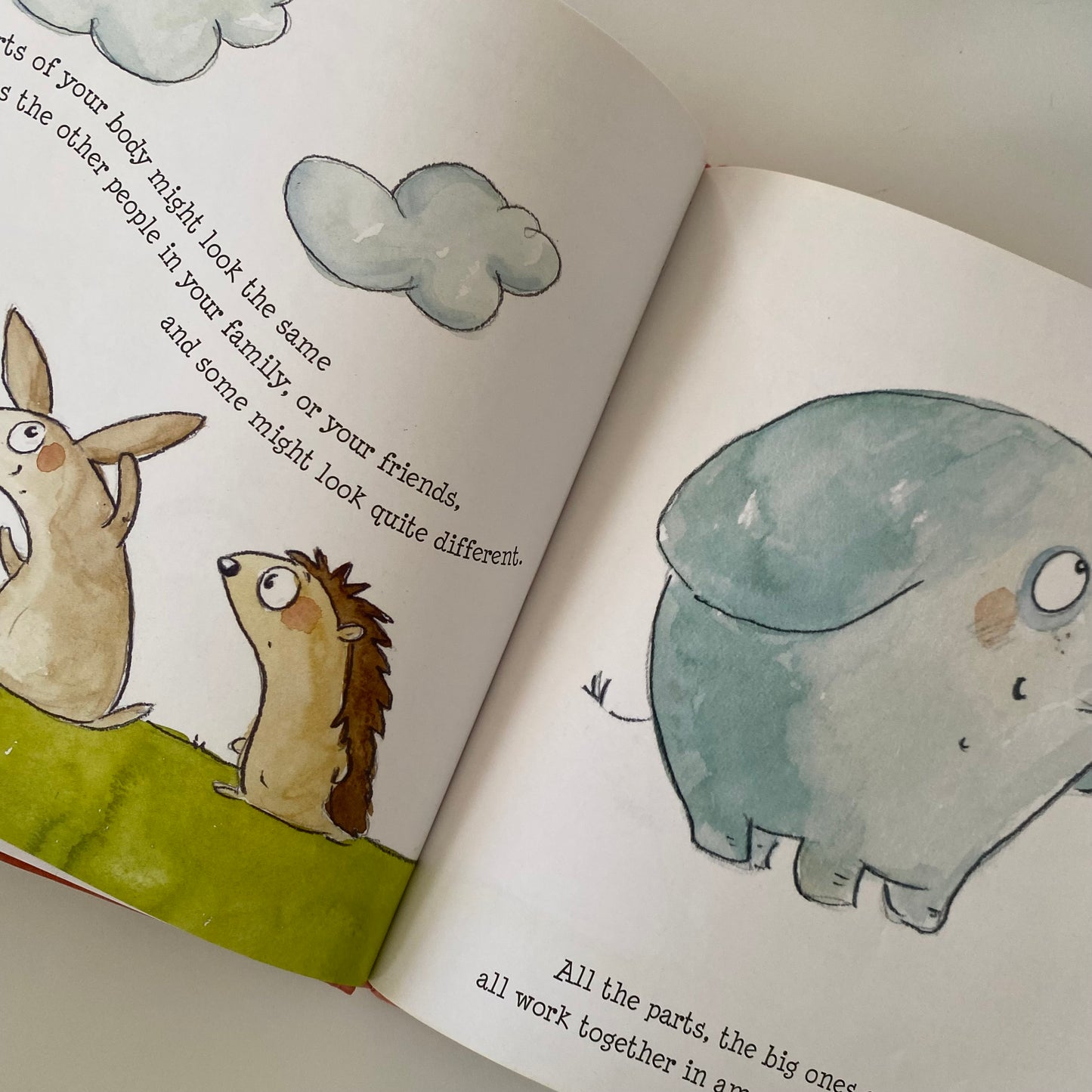 You Are Like You Book