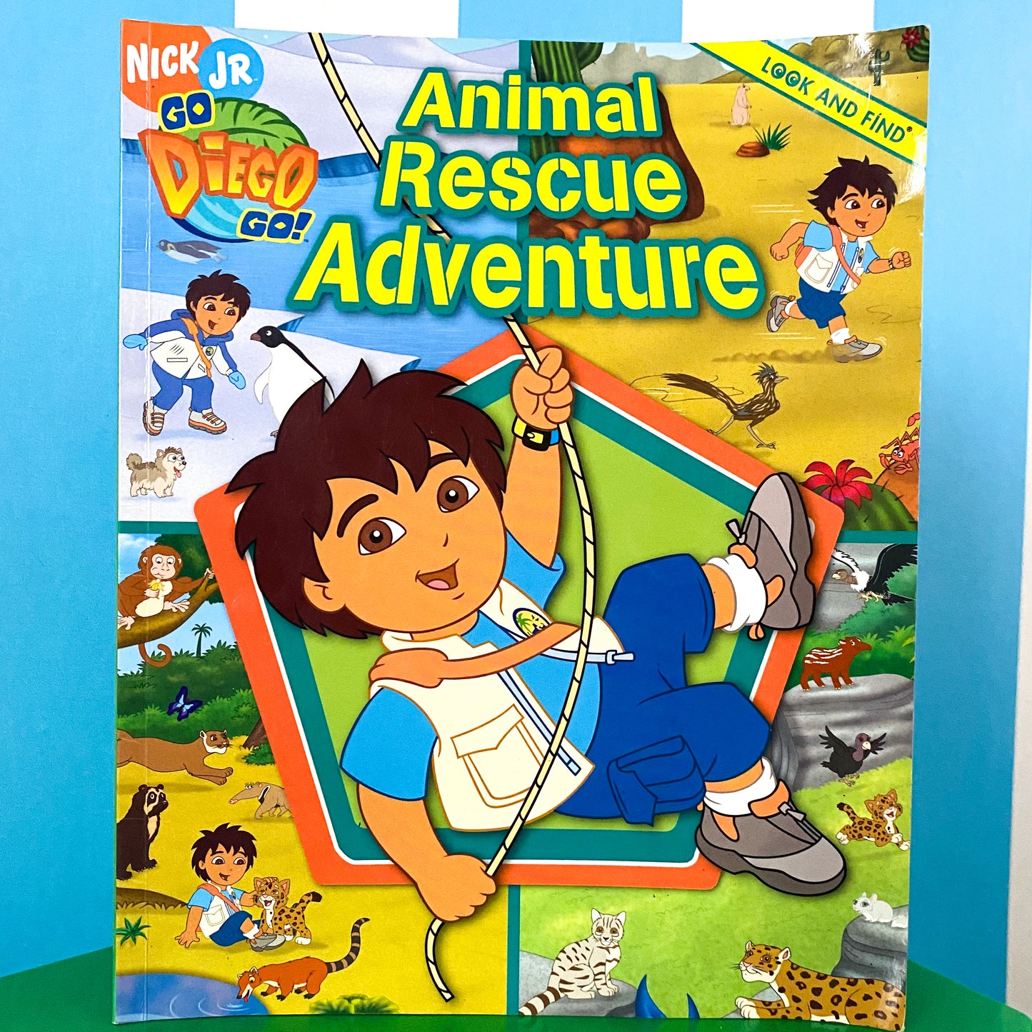 Go Diego Go Look & Find Book