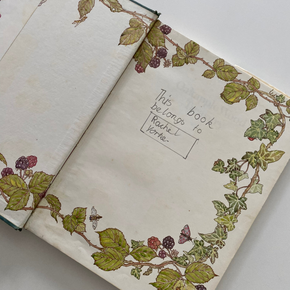 Oakapple Wood Treasury Book
