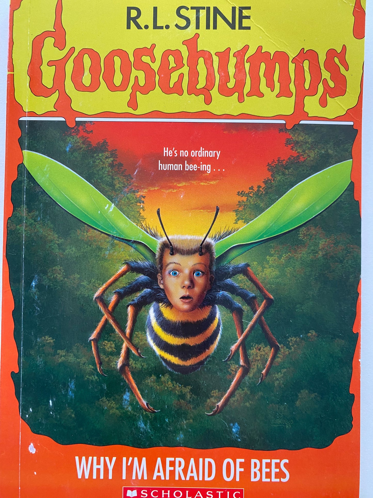 Goosebumps Why I’m Afraid Of Bees Chapter Book