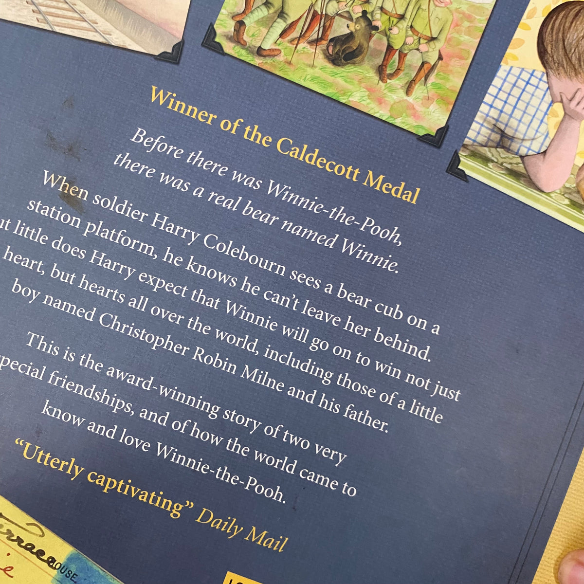 Winnie The Pooh Finding Winnie Book