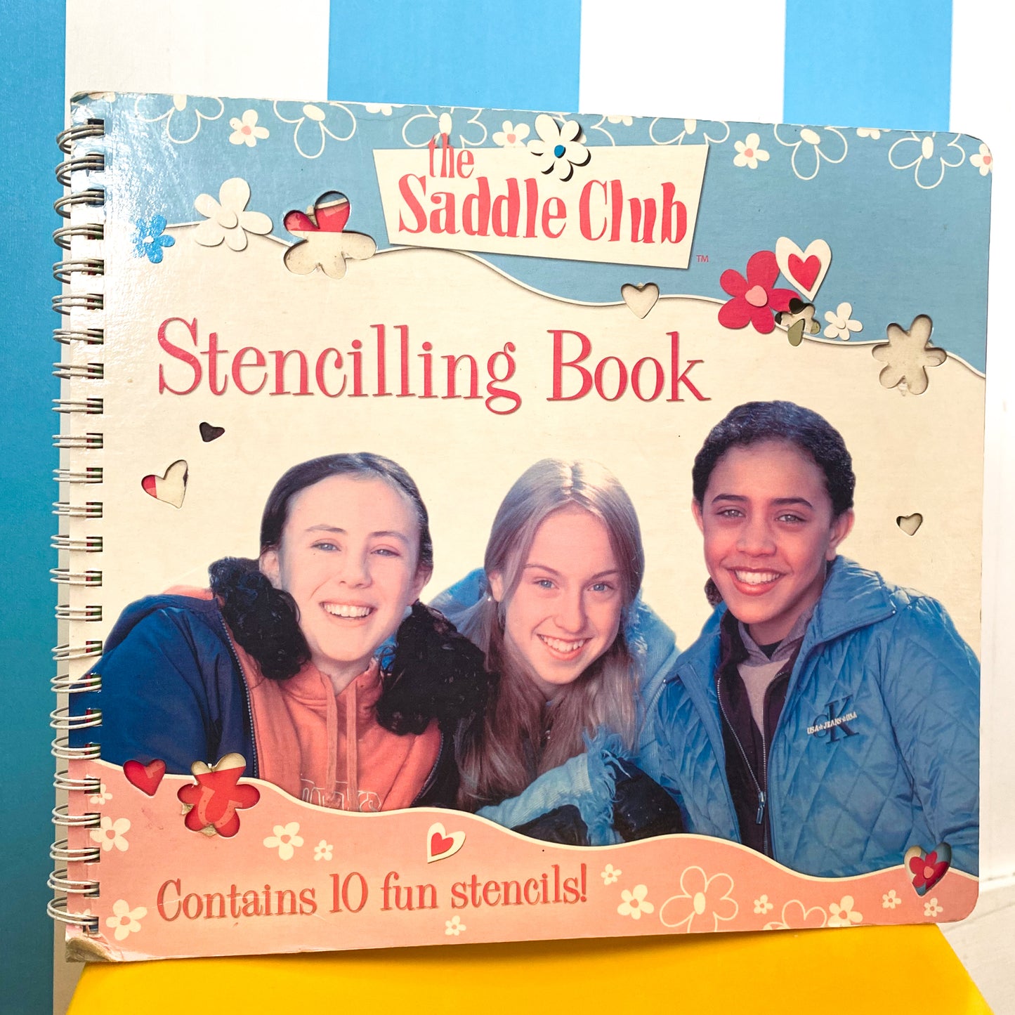 The Saddle Club Stencilling Book