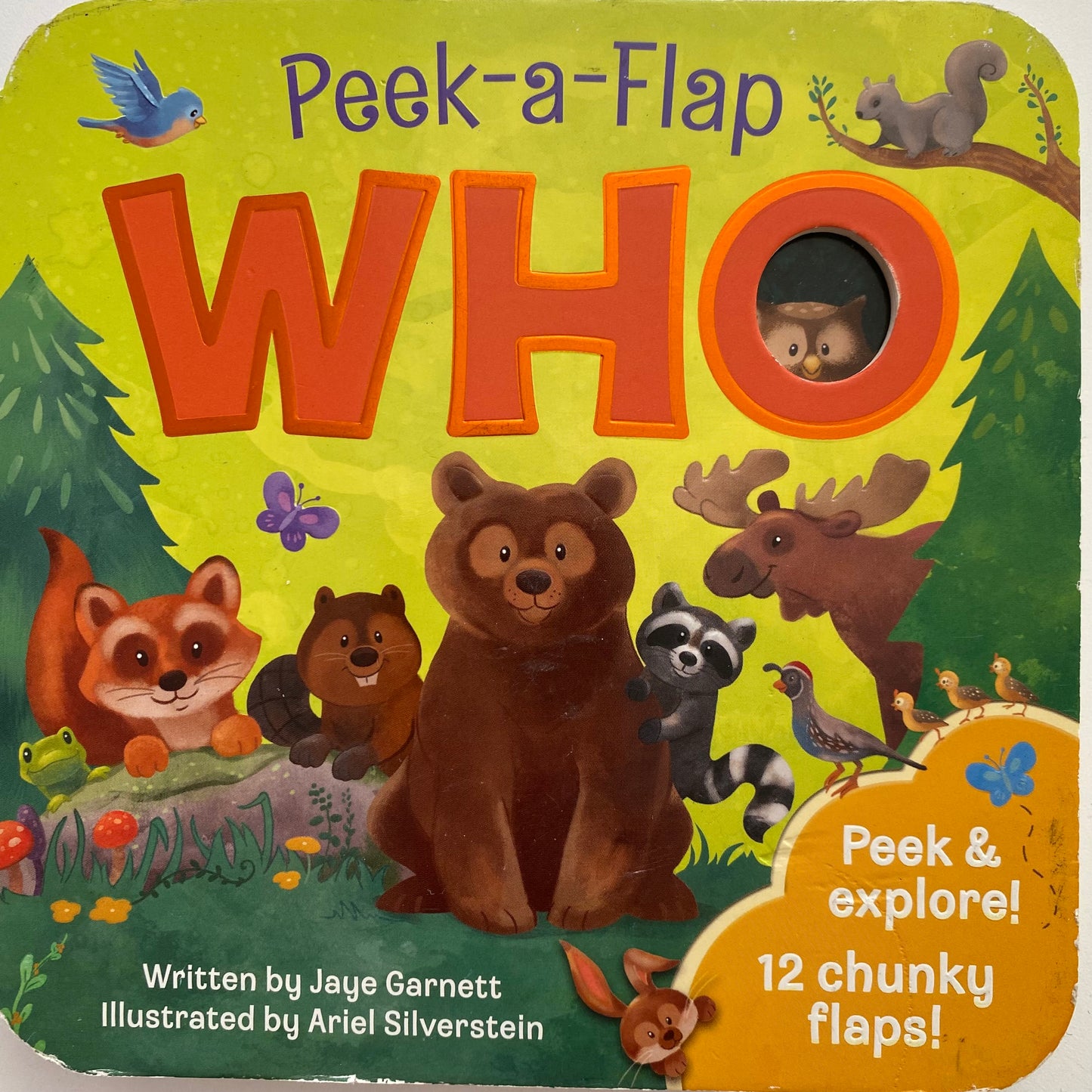Peek A Flap WHO Board Book