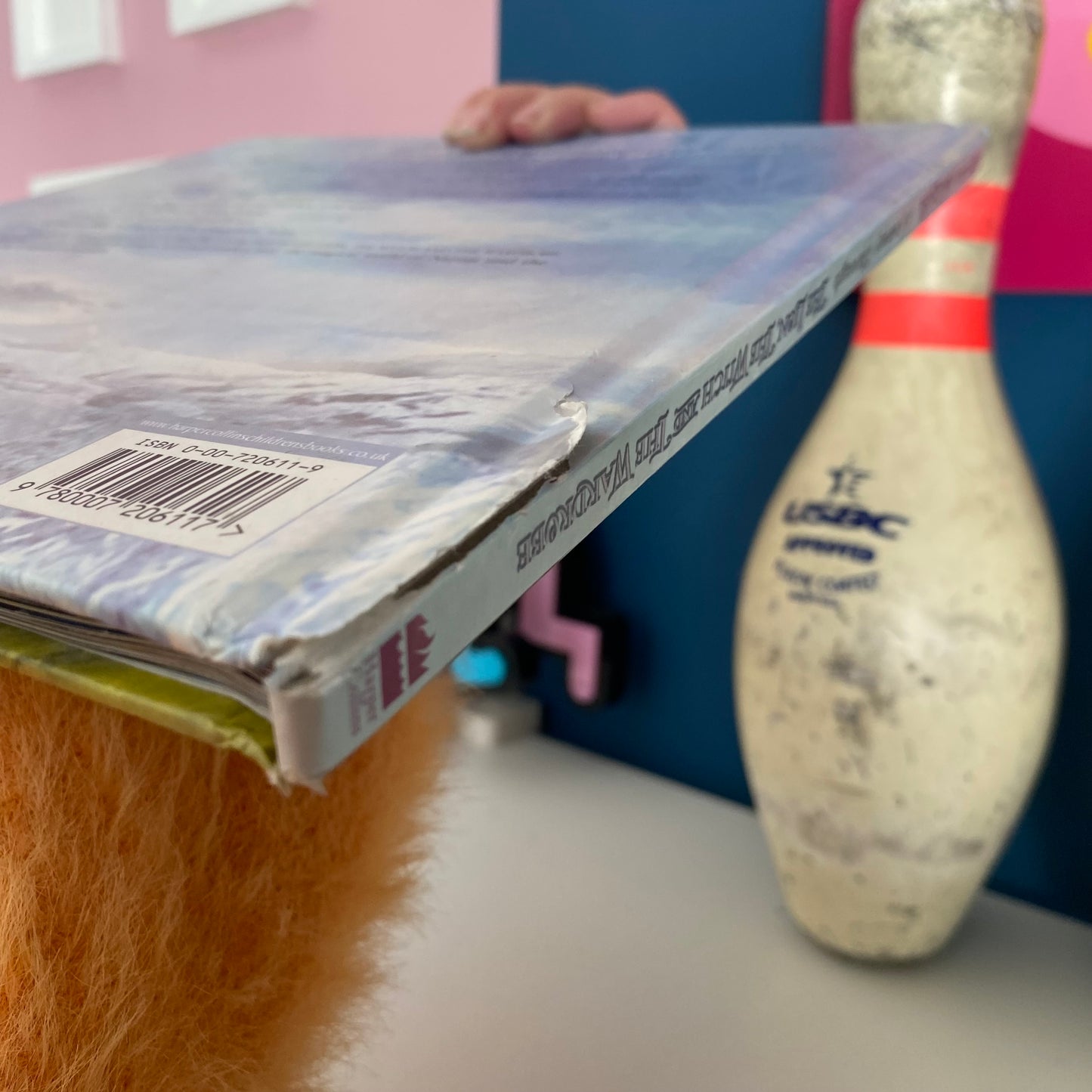 Step Into Narnia Book