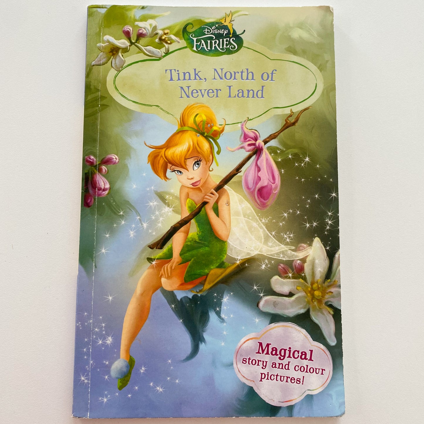 Disney Fairies Tinkerbell Tink, North Of Never Land Chapter Book