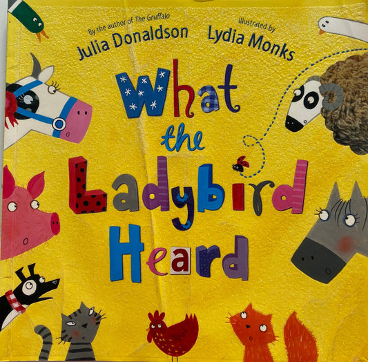 Julia Donaldson What The Ladybird Heard Book