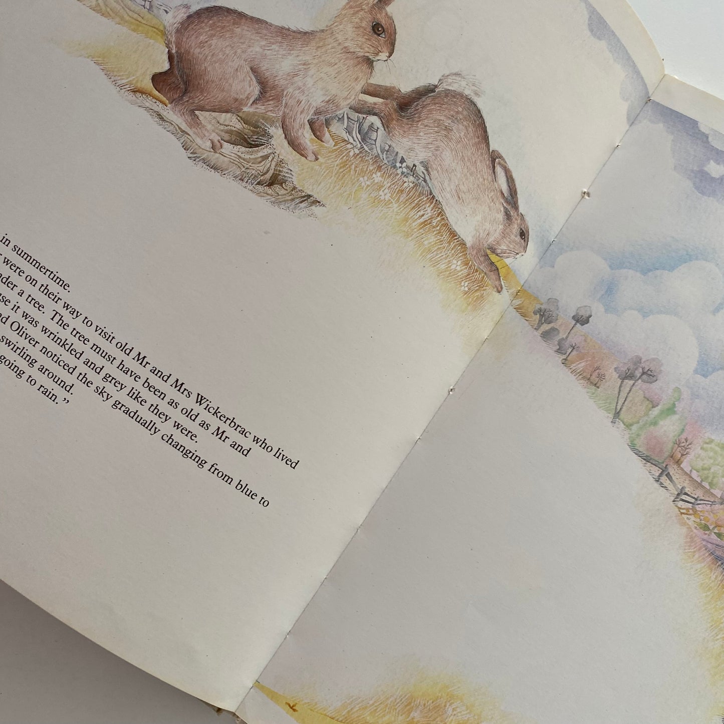 Vintage Rainbow Rabbits Book