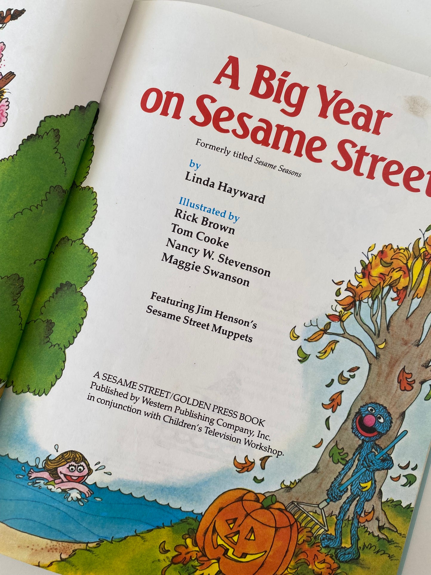 Vintage A Big Year On Sesame Street Book