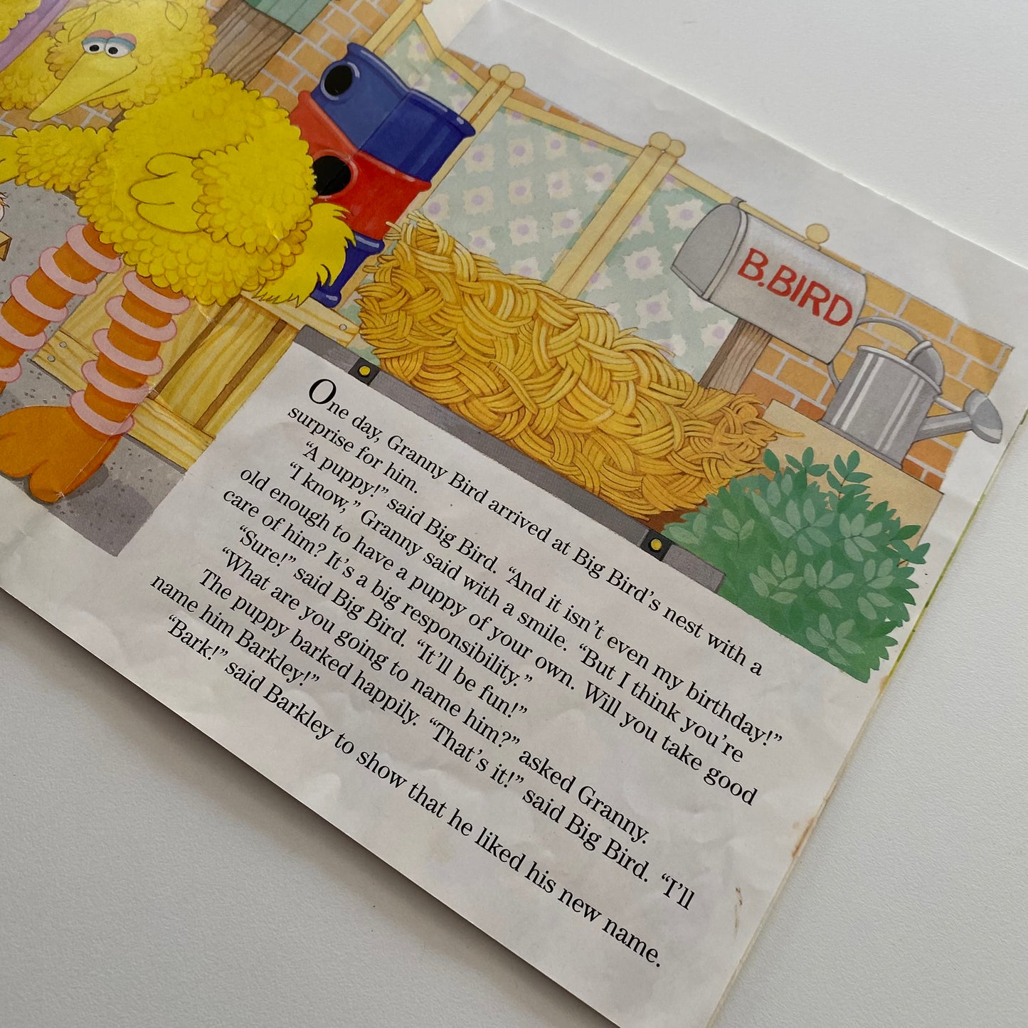 Sesame Street A Birds Best Friend Book