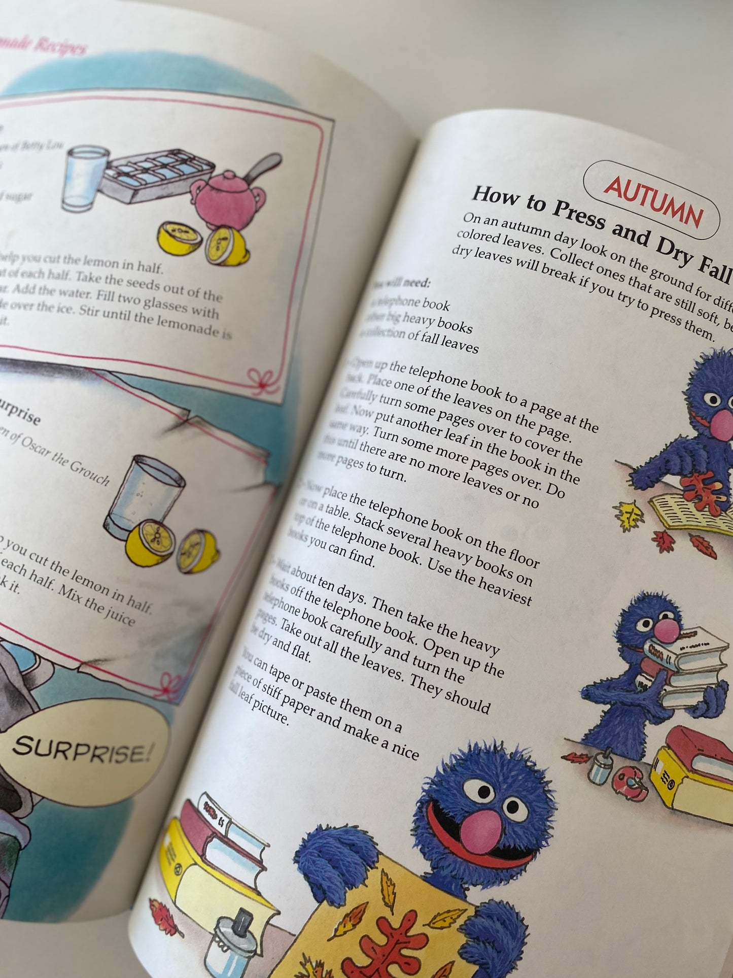 Vintage A Big Year On Sesame Street Book