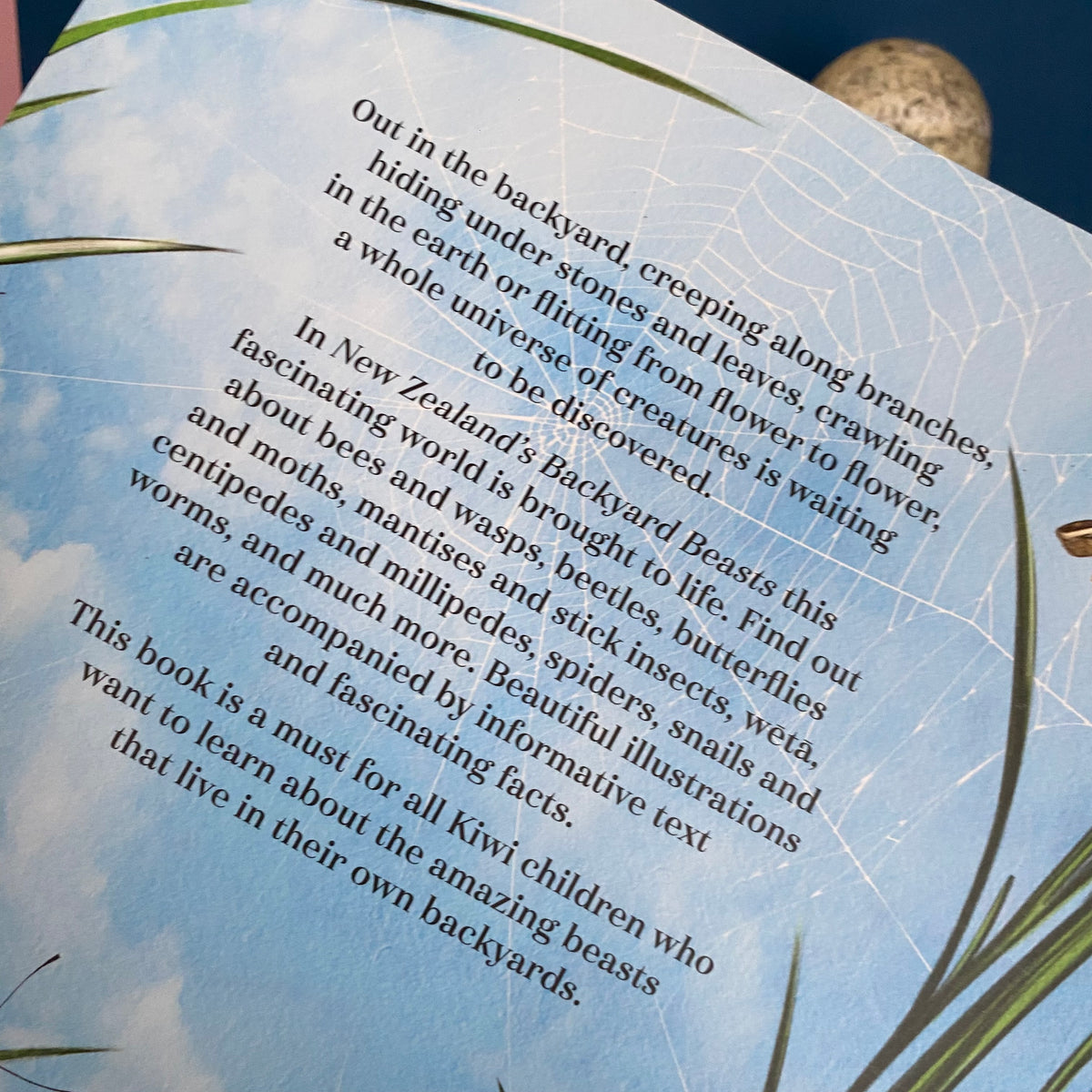 New Zealand’s Backyard Beasts Book