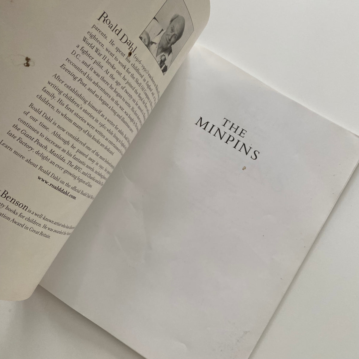 Roald Dahl The Minpins Book