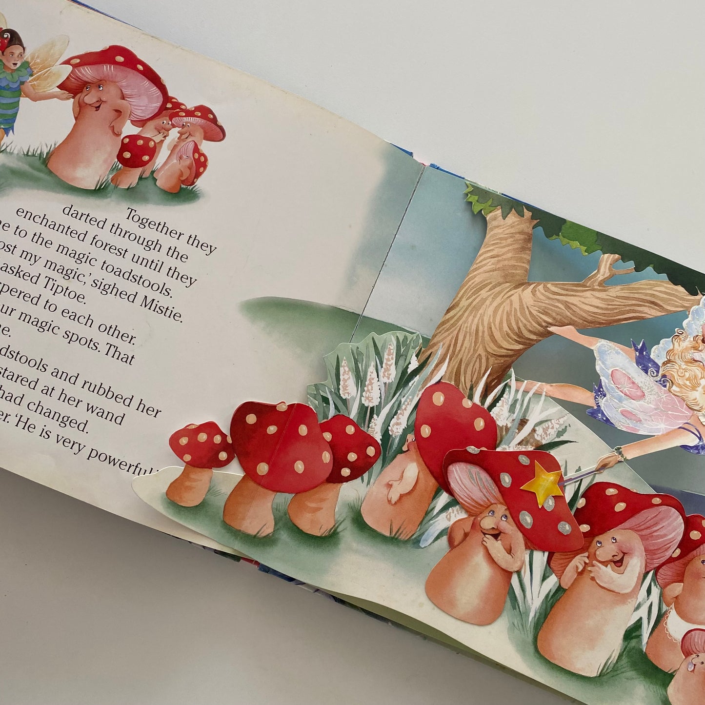 Mistie’s Magic Pop Up Book