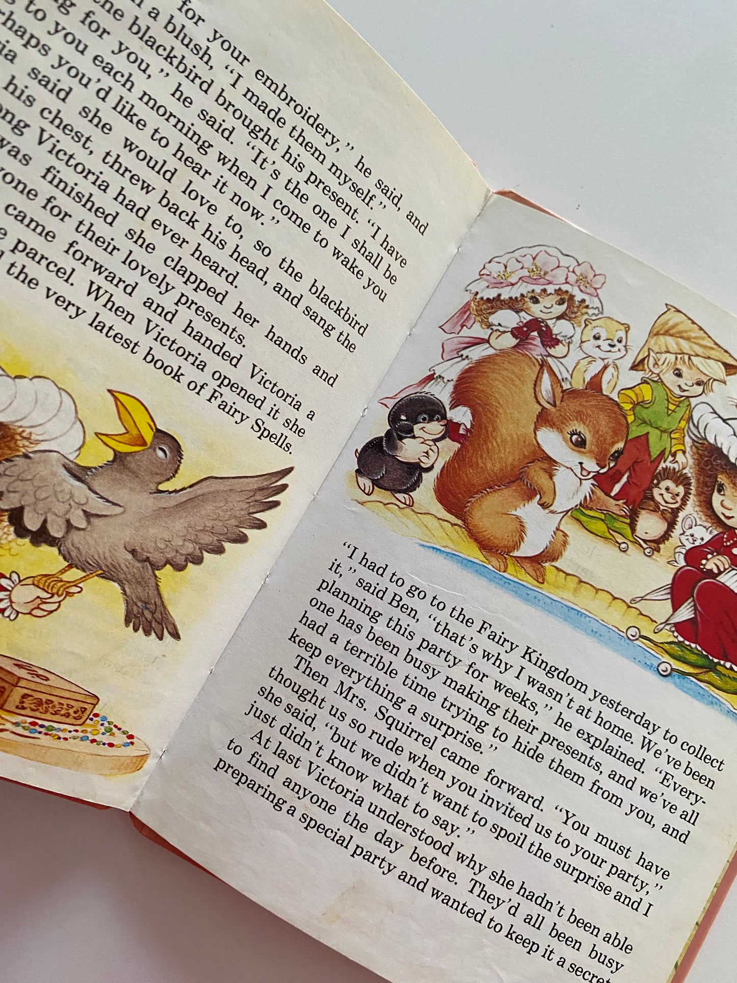 Vintage Victoria Plum Book