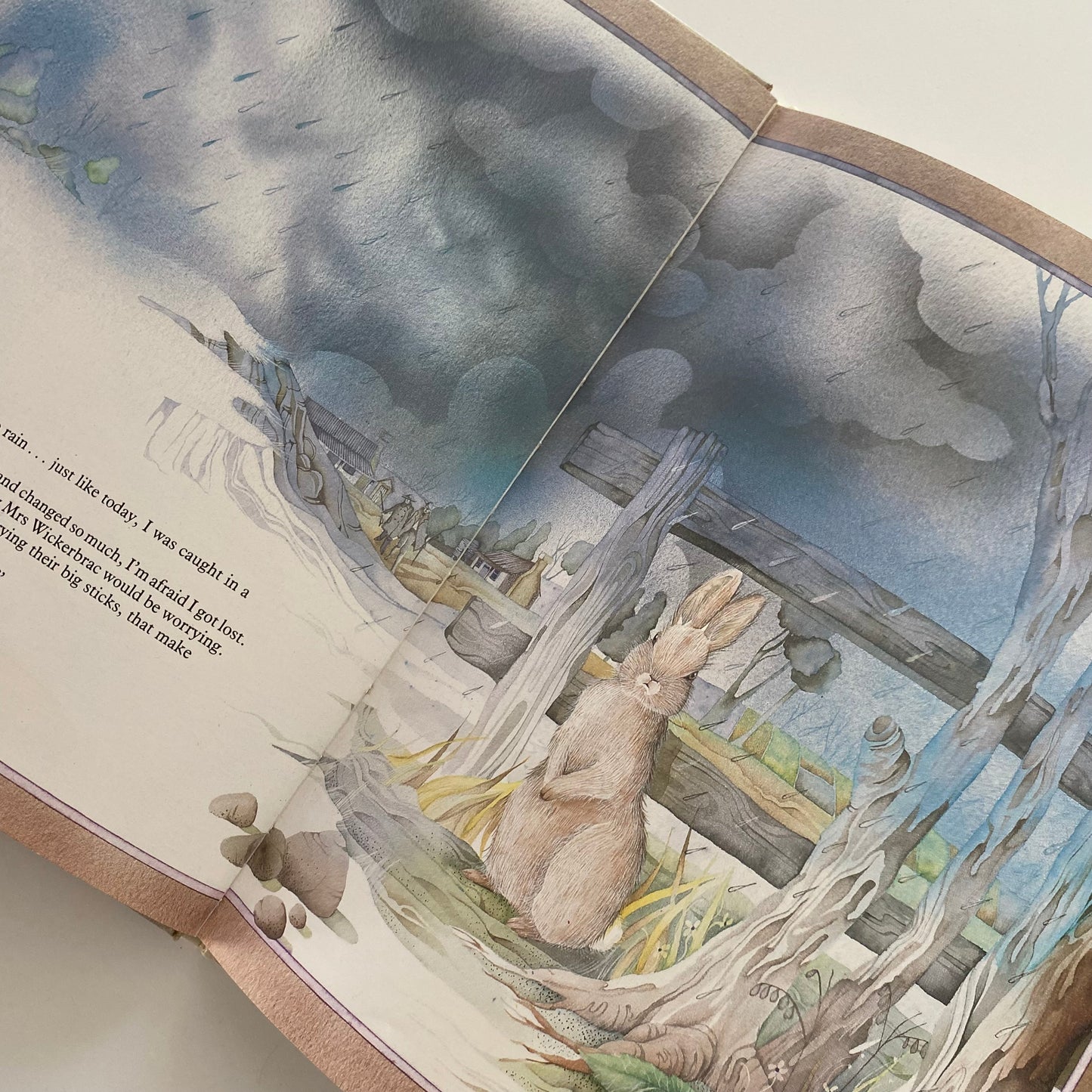 Vintage Rainbow Rabbits Book