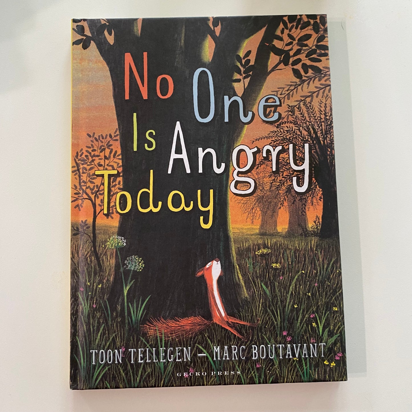 No One Is Angry Today Book