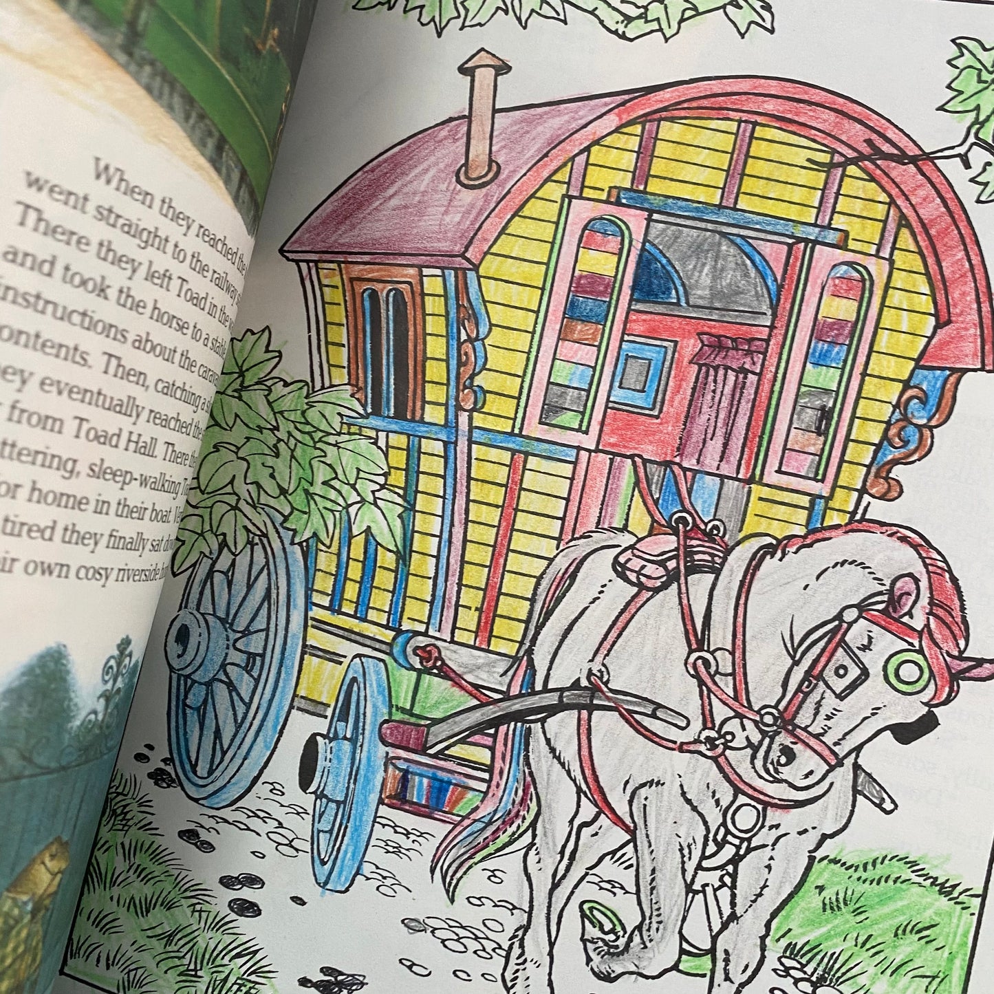 Vintage Wind In The Willows Book