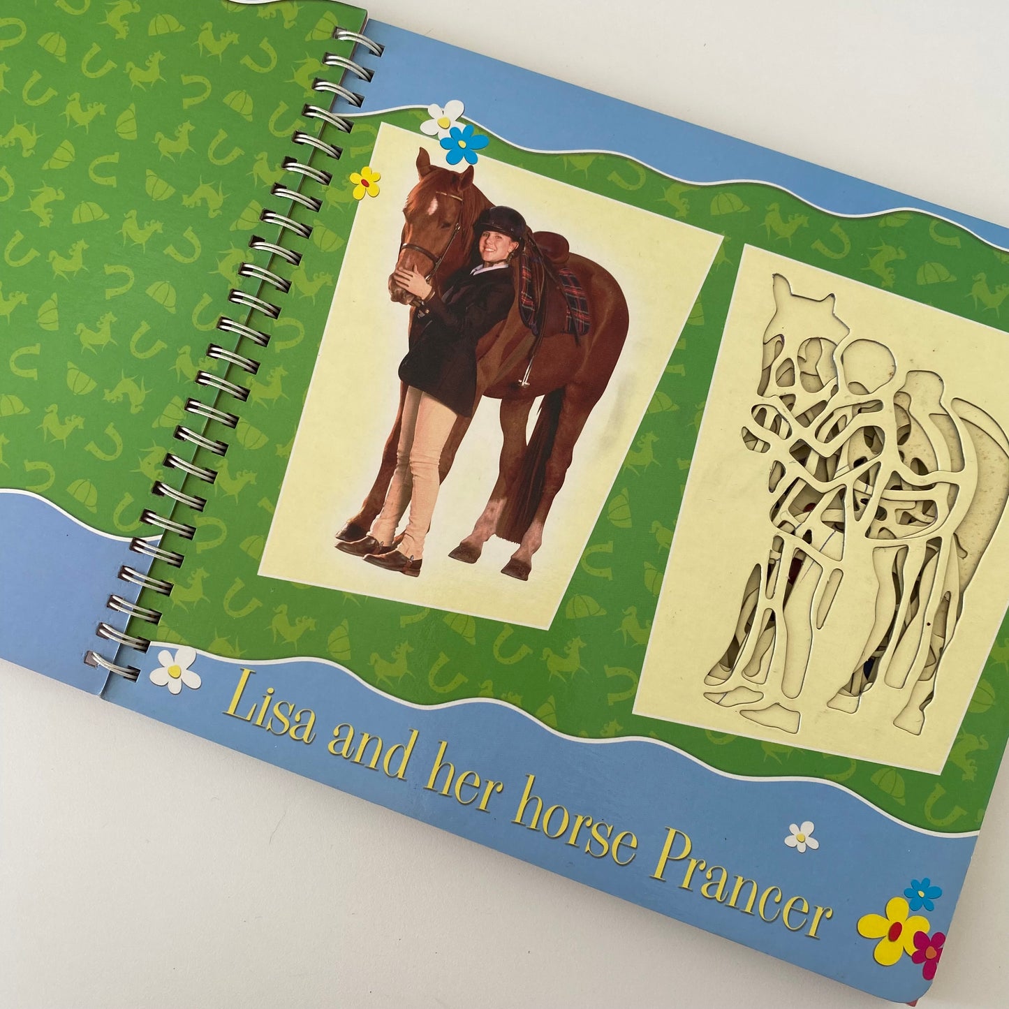 Saddle Club Stencil Book & Plush