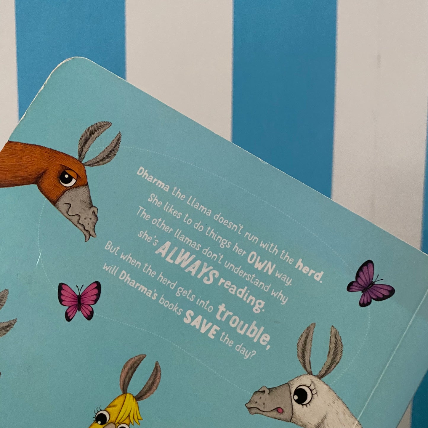 Dharma The Llama Board Book