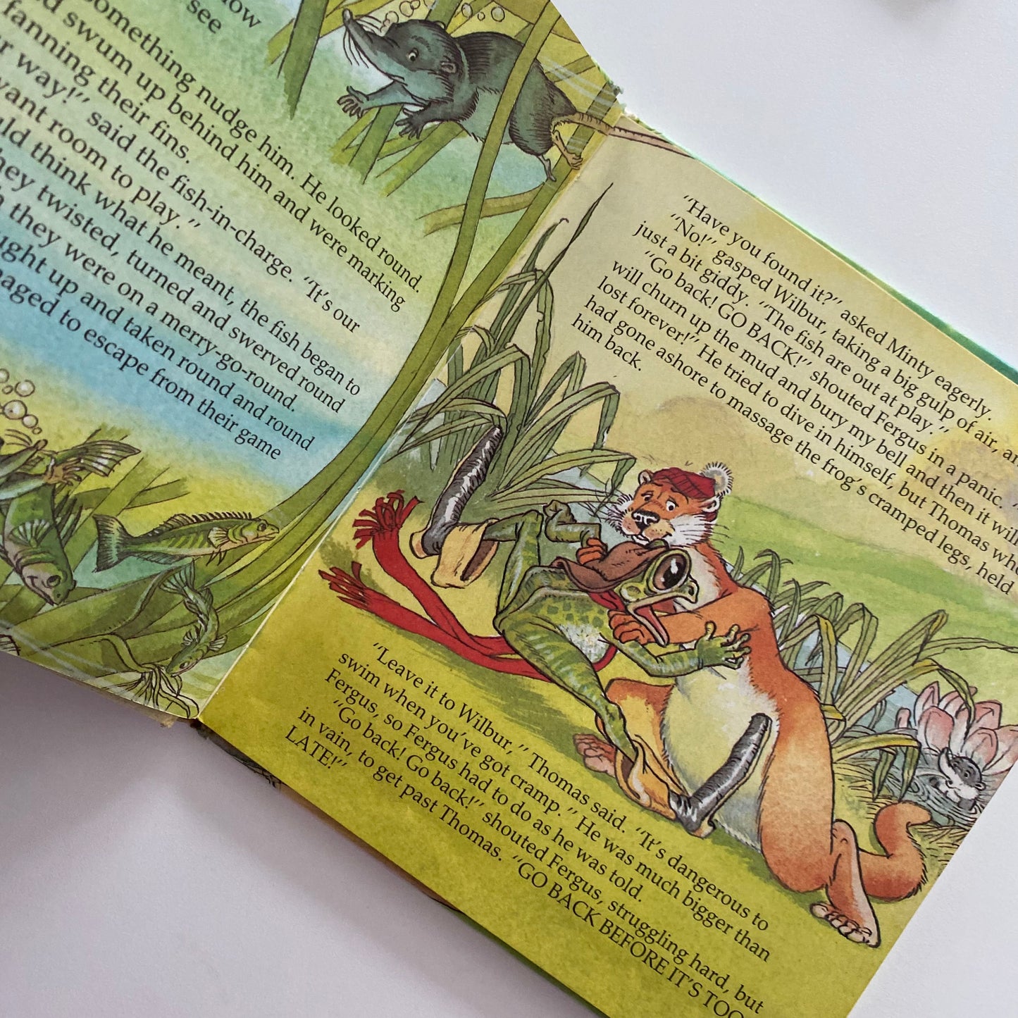Vintage Riverboat Friends Book
