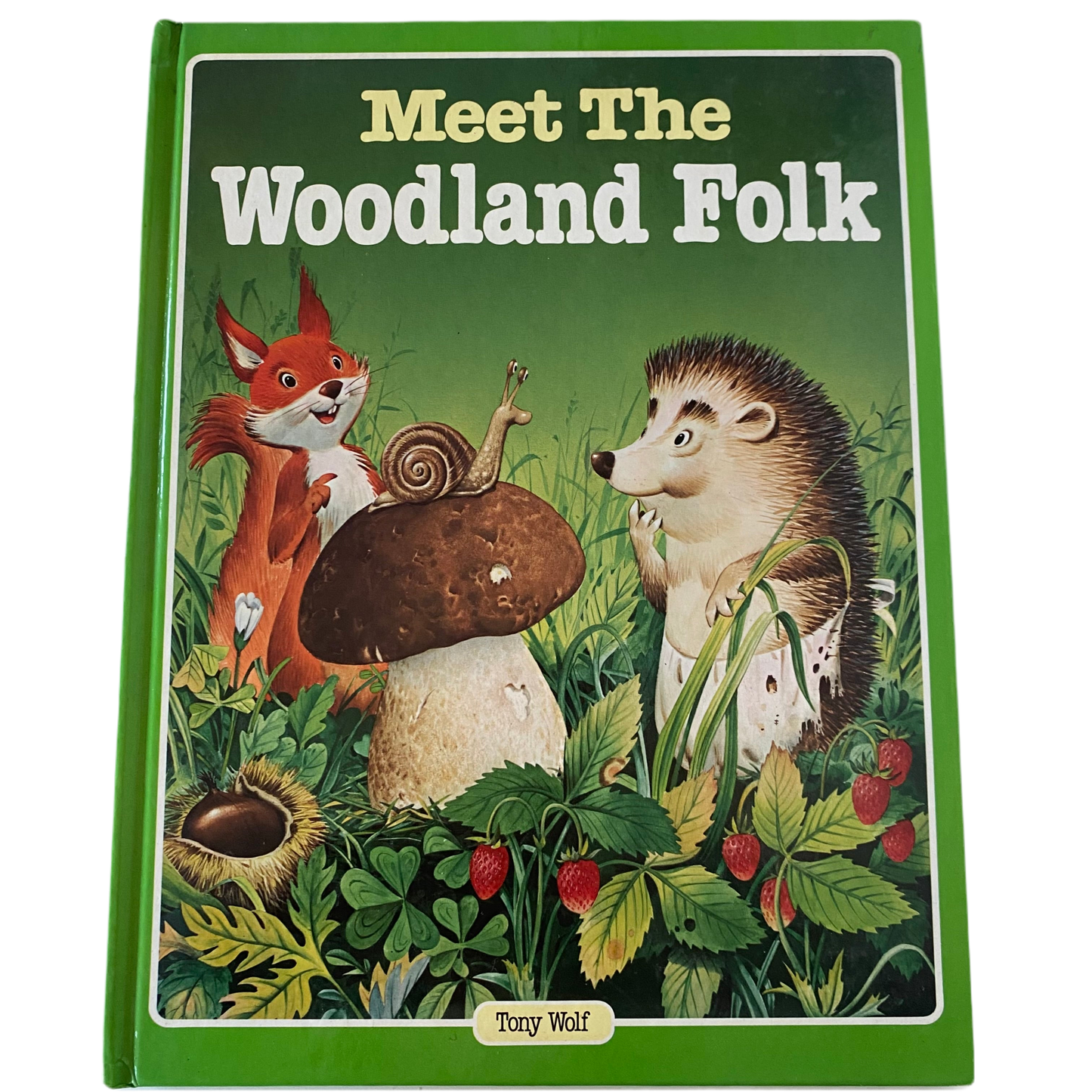 Vintage Meet The Woodland Folk Book