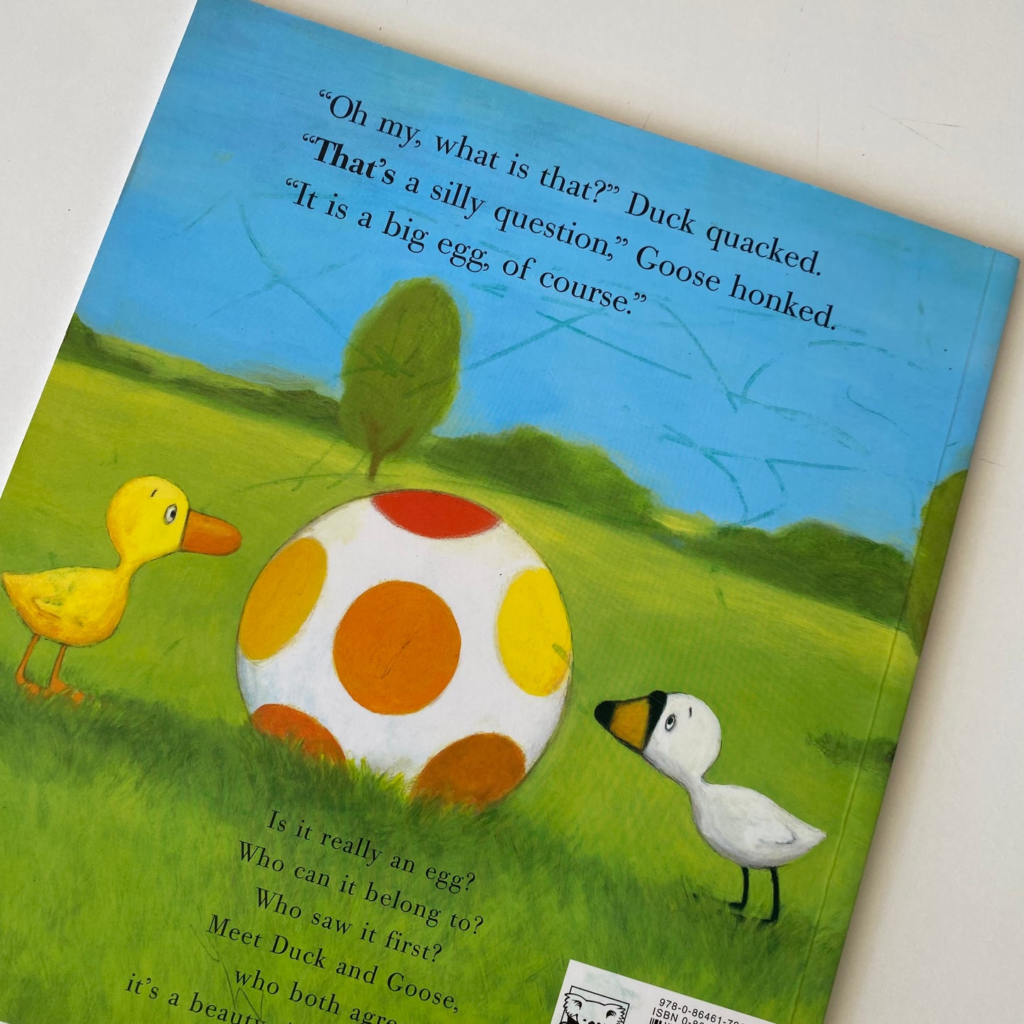 Book - Duck & Goose