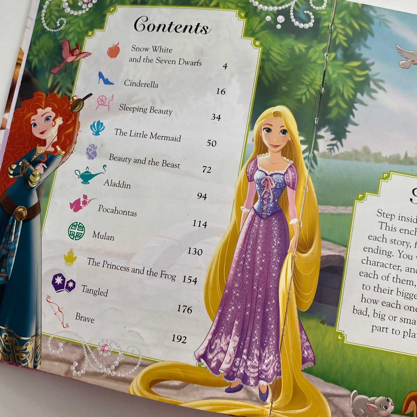 DK Disney Princess Enchanted Character Guide Book