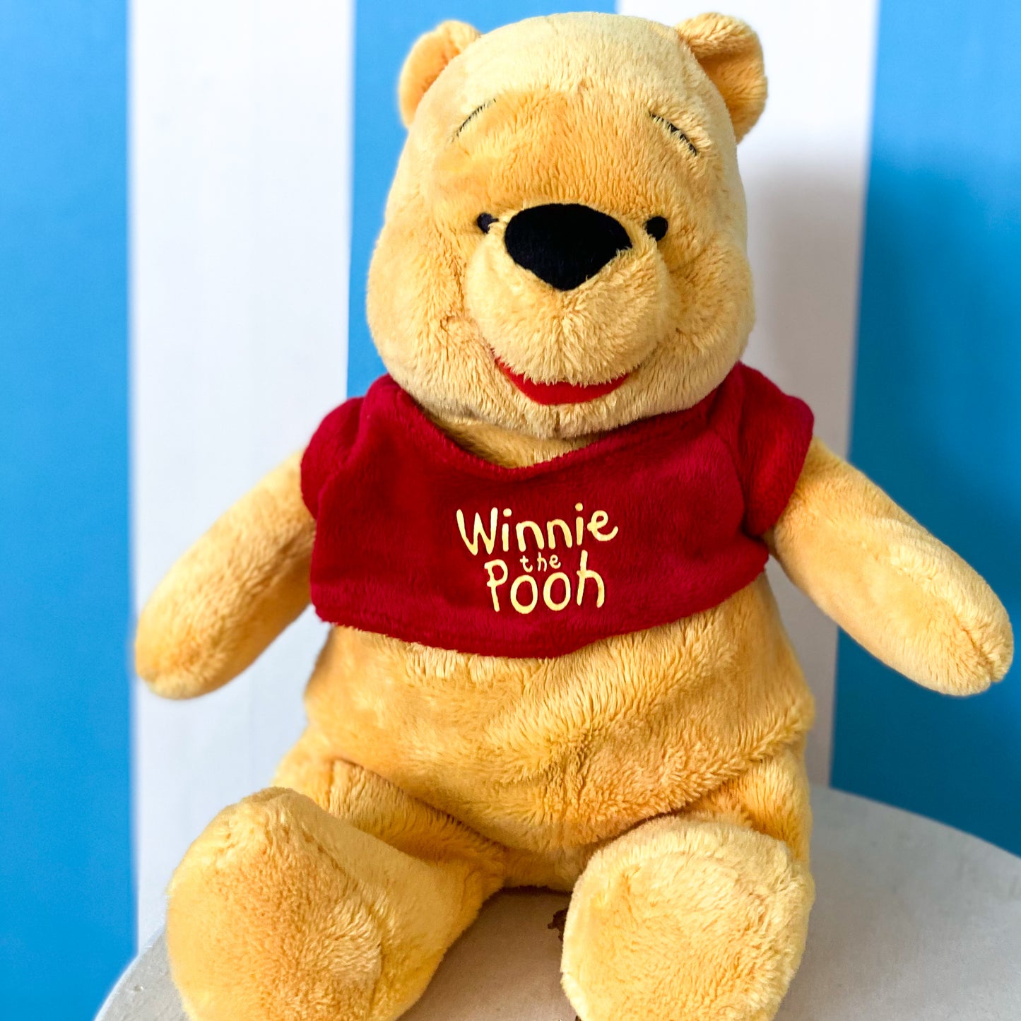 Winnie The Pooh Plush