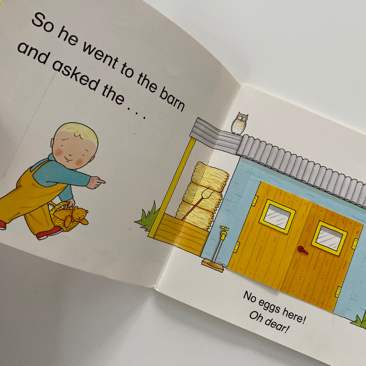 Rod Campbell Oh Dear! Lift The Flap Book