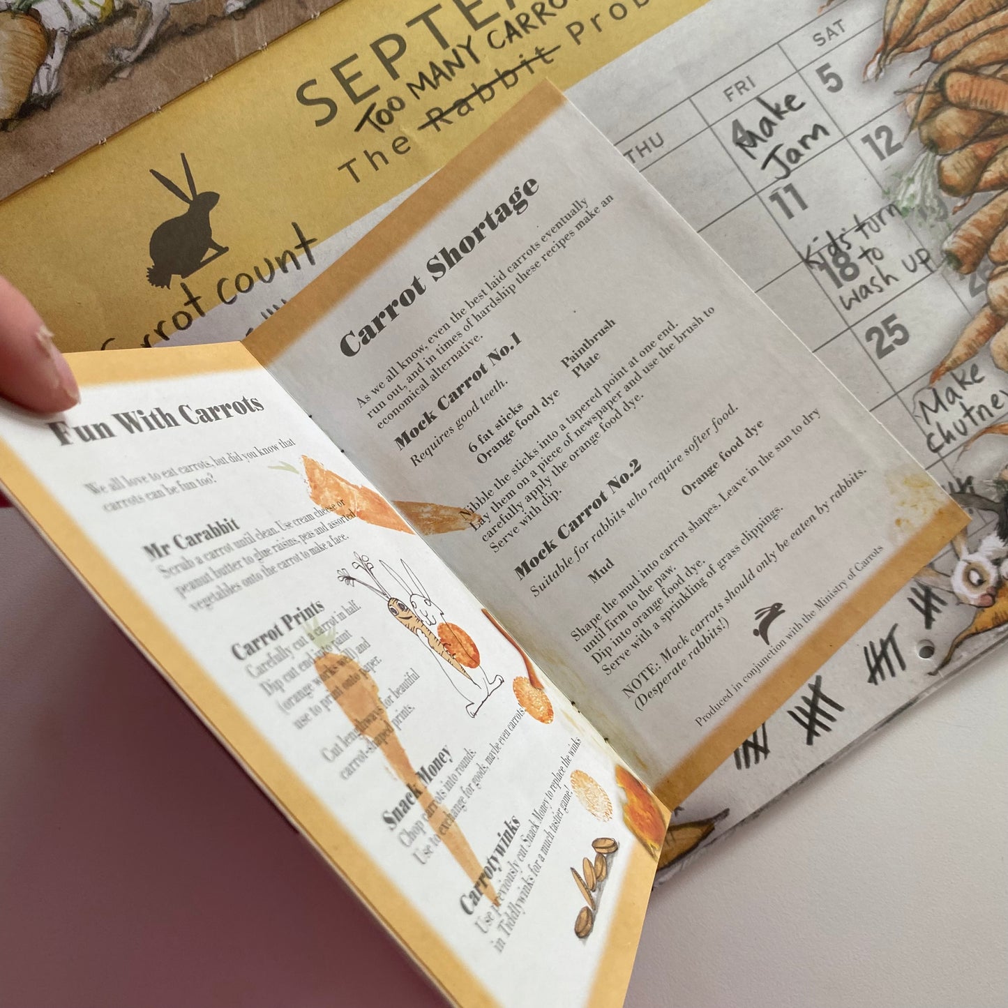 The Rabbit Problem Book