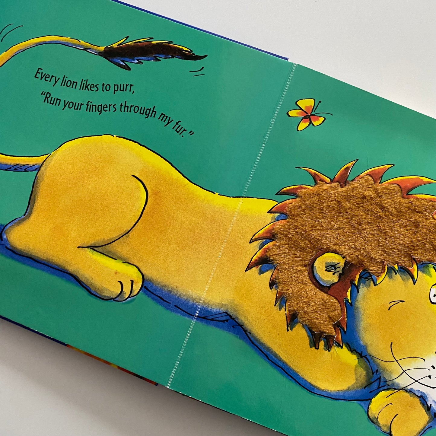 Giraffe’s Can’t Dance Touch & Feel Board Book