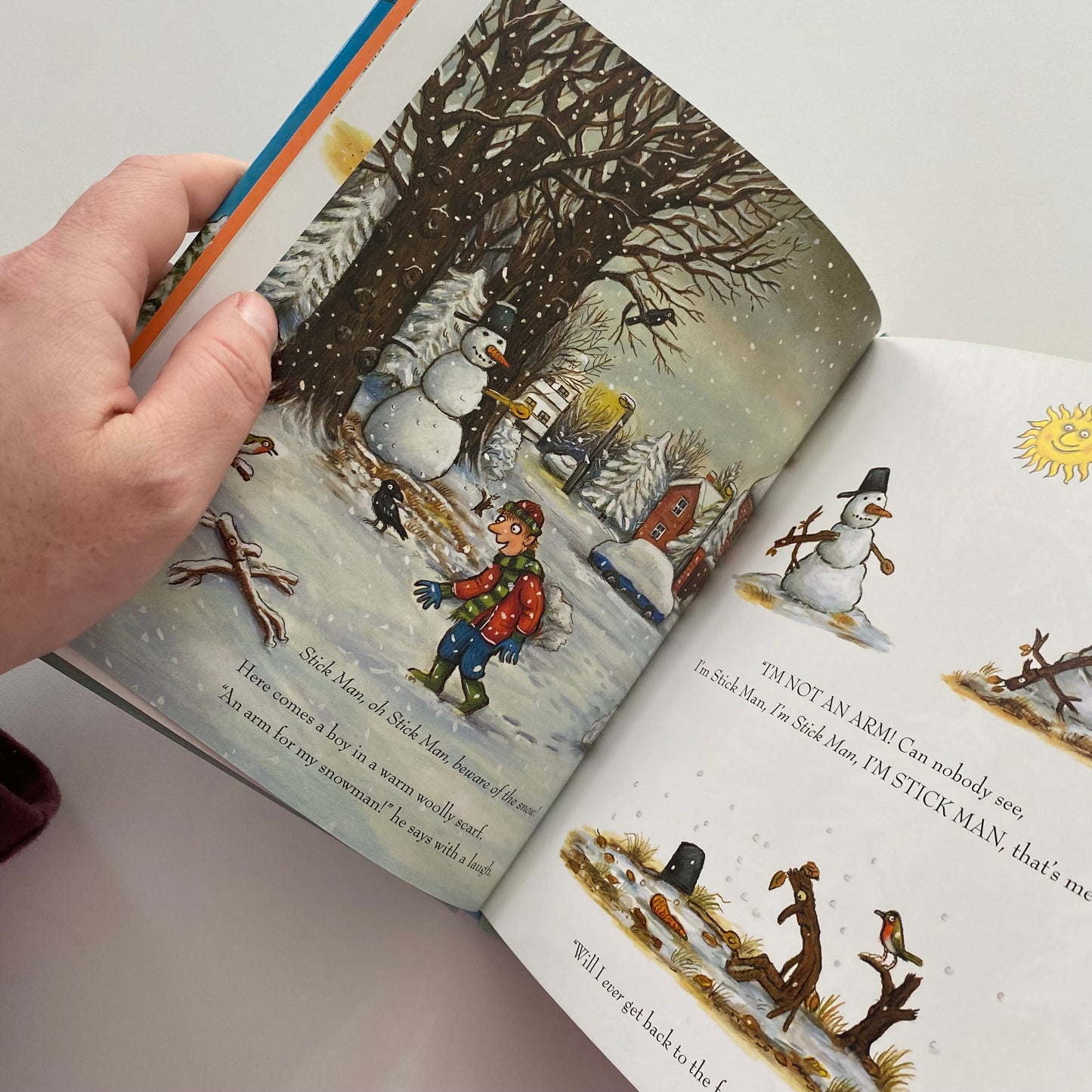 Julia Donaldson Axel Scheffler Stick Man Book