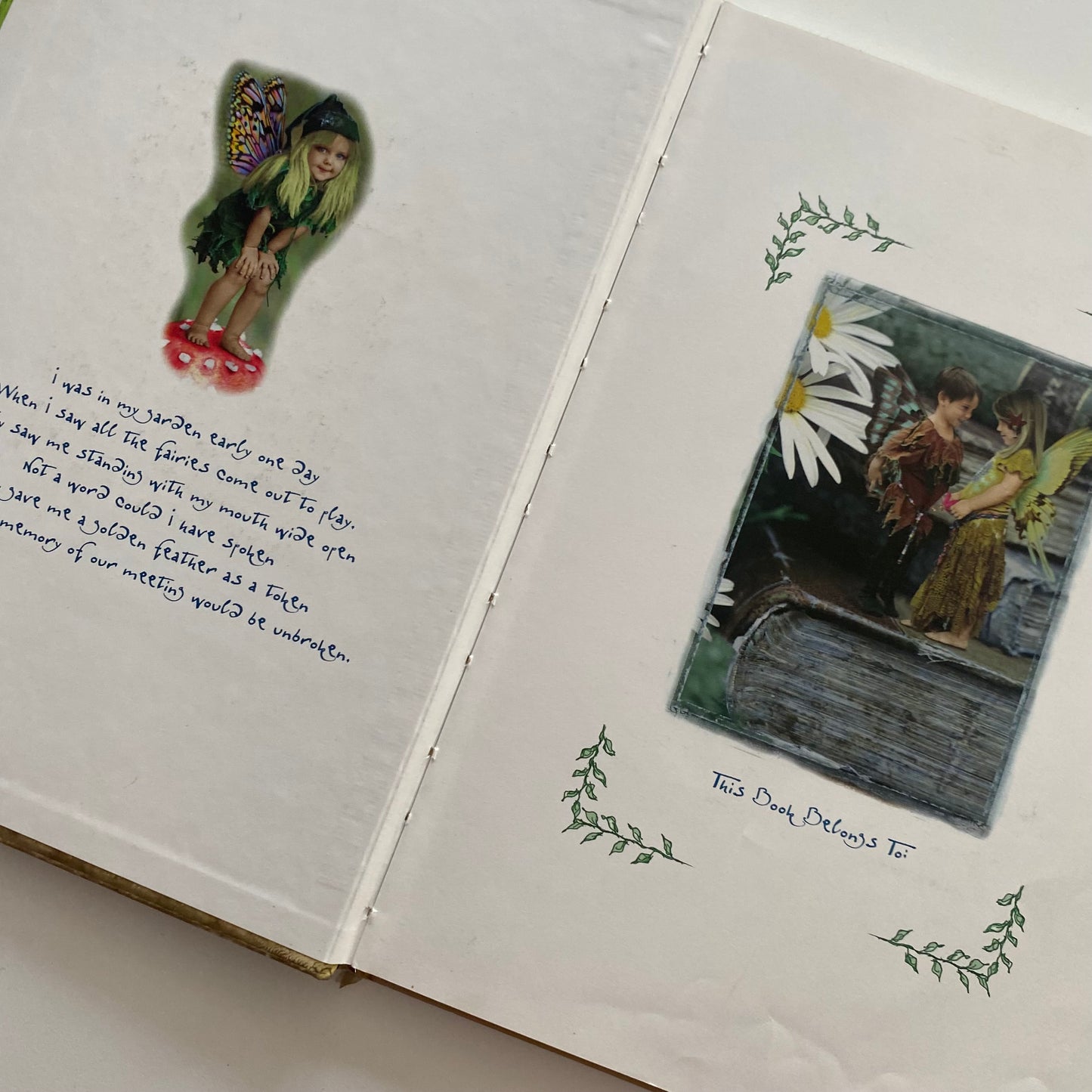 The Secret World Of Fairies Book