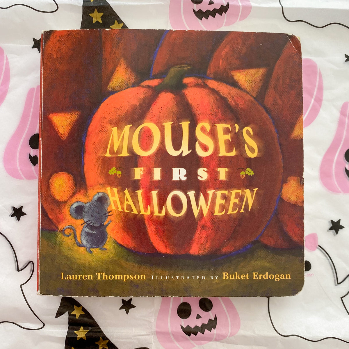 Mouse’s First Halloween Board Book