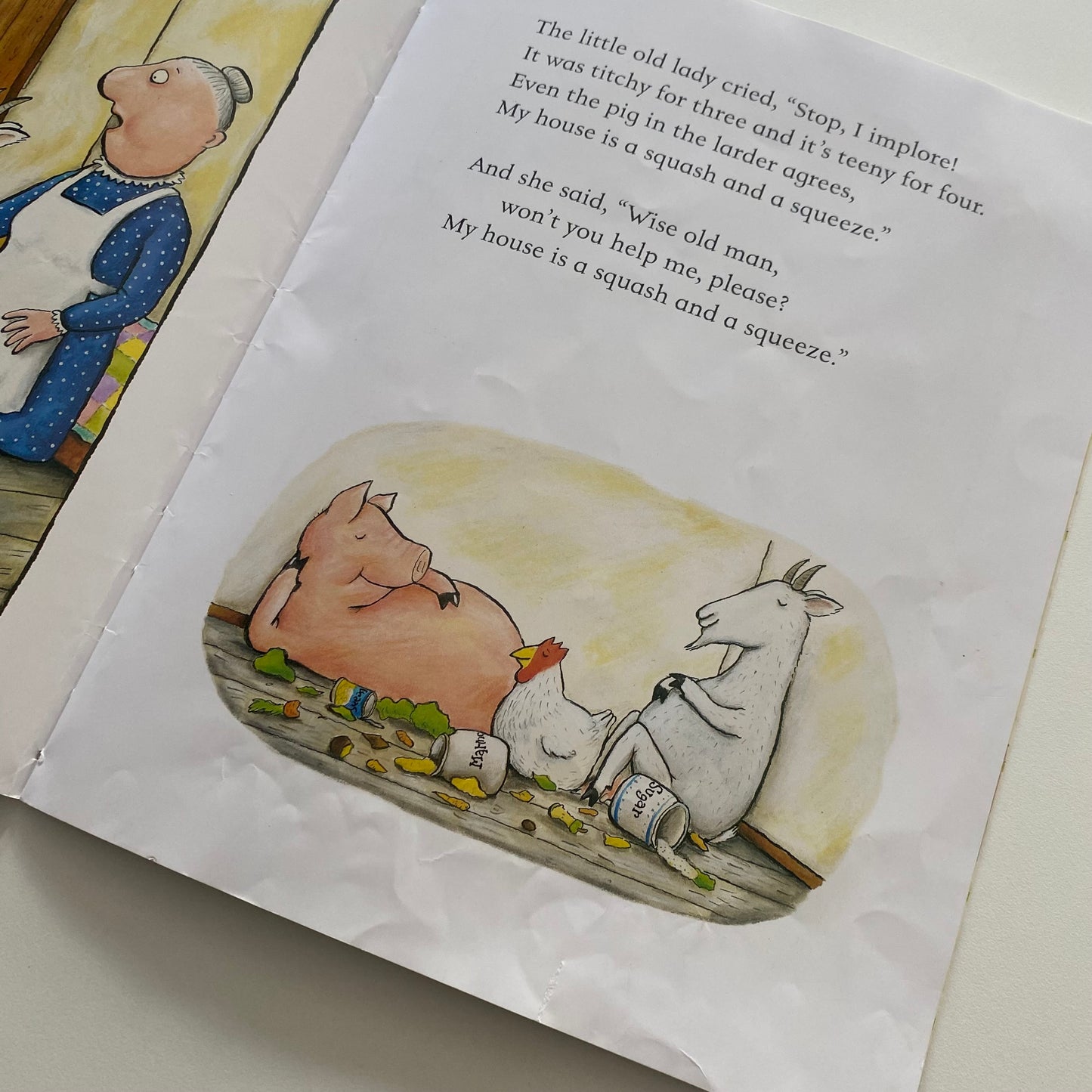 Julia Donaldson Axel Scheffler A Squash & A Squeeze Book