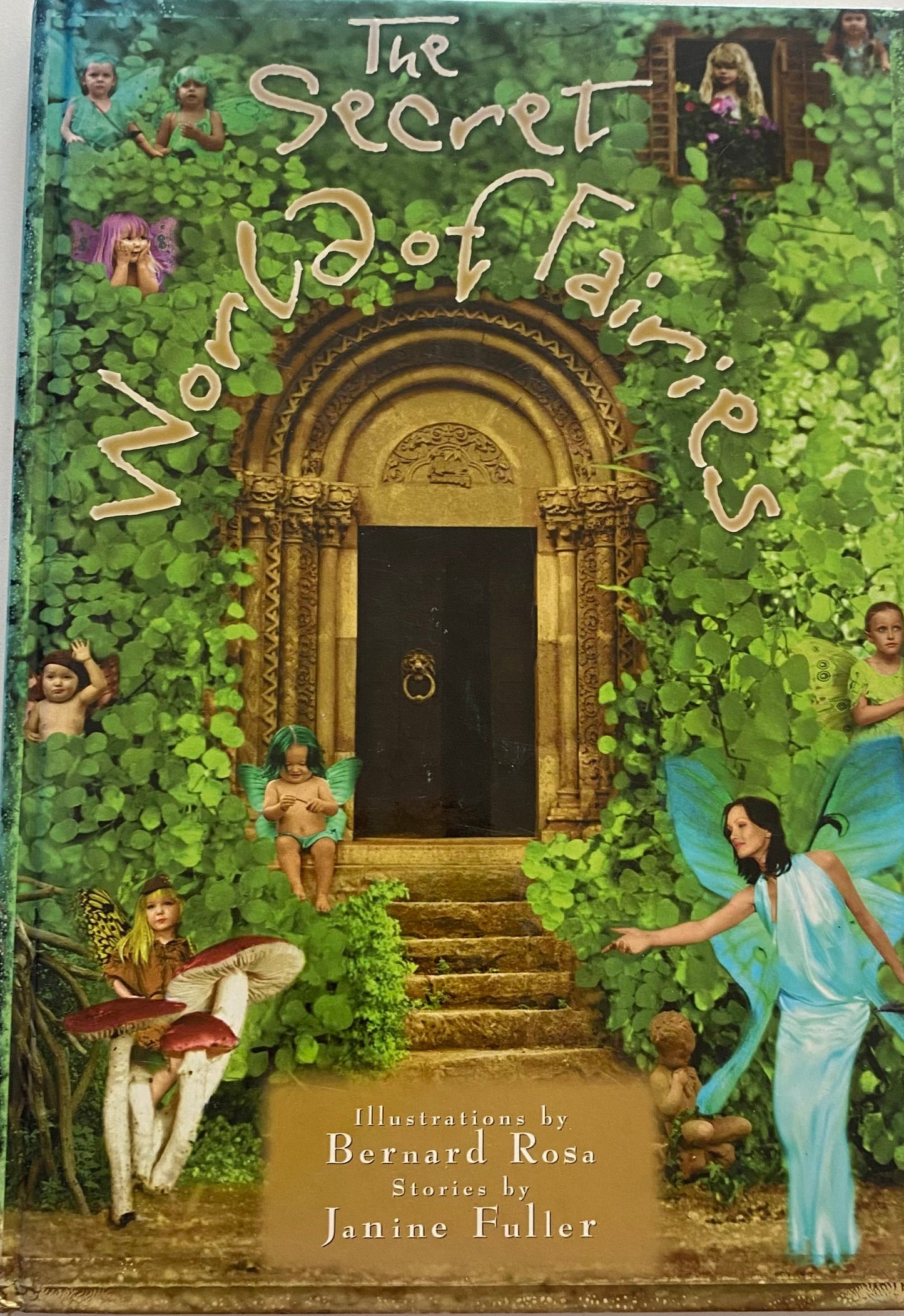 The Secret World Of Fairies Book