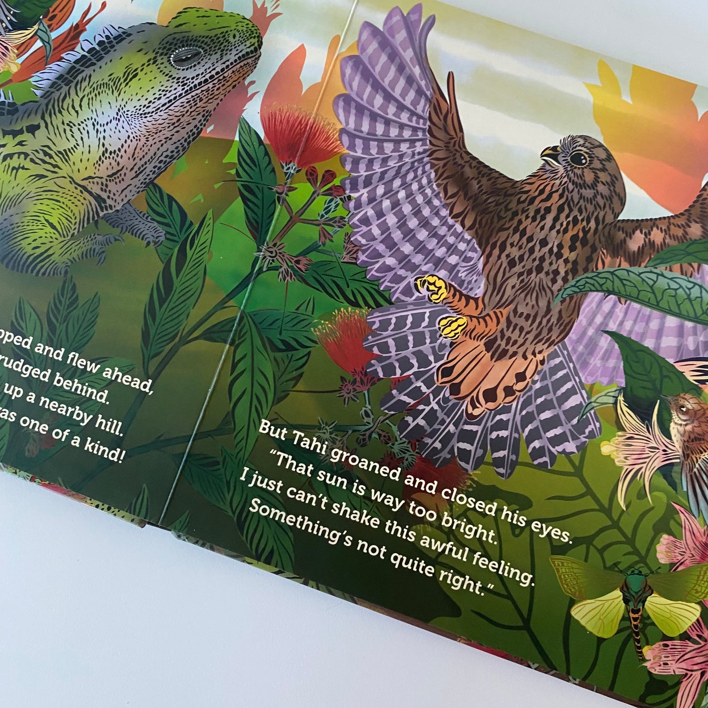 Te Reo Māori Tu Meke Tuatara Book