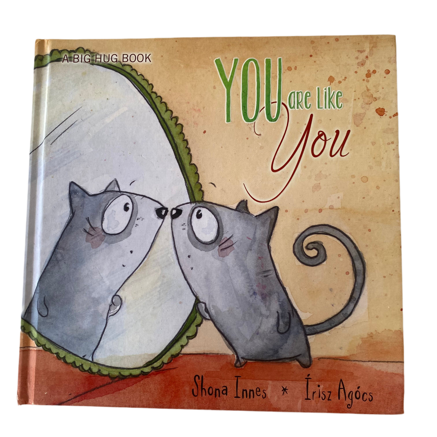 You Are Like You Book