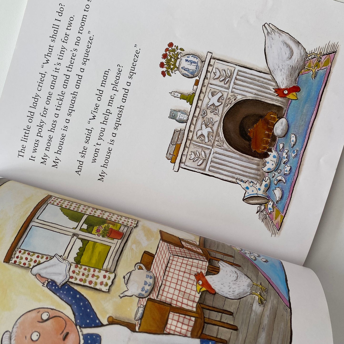 Julia Donaldson Axel Scheffler A Squash & A Squeeze Book