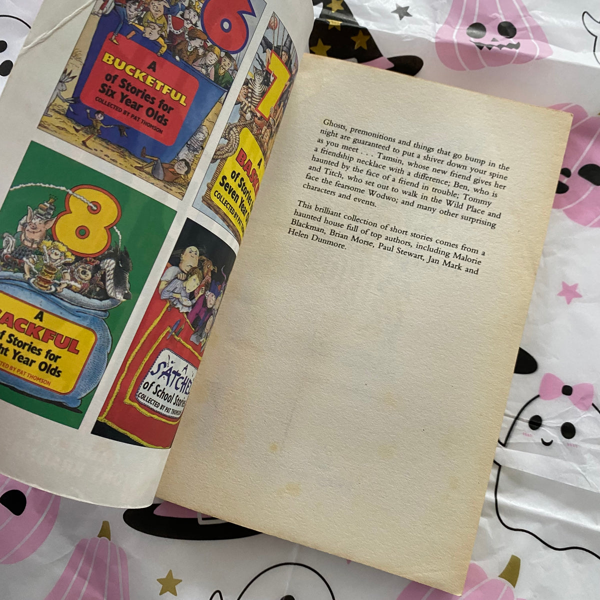 Incredibly Creepy Stories Chapter Book
