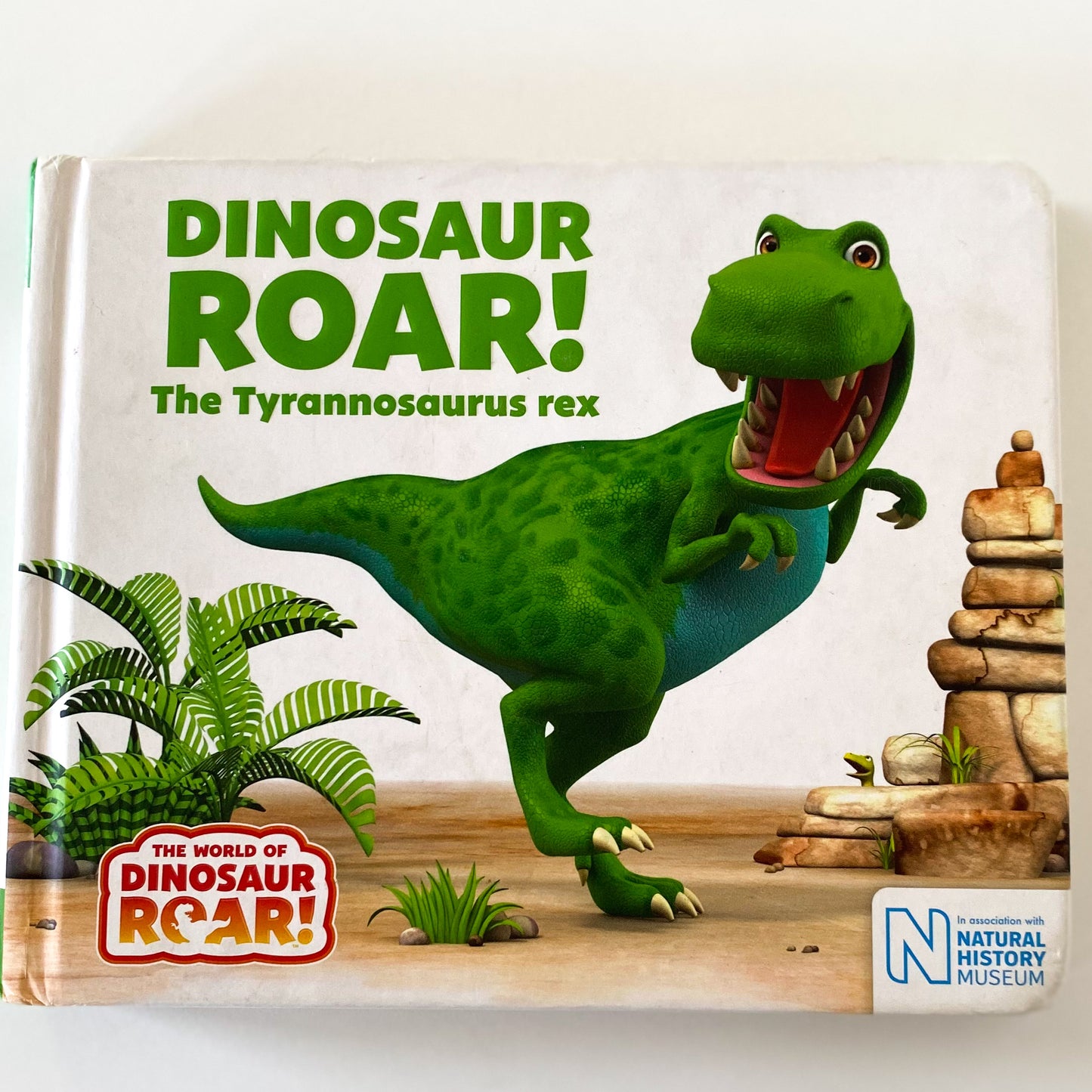 Dinosaur Roar Book