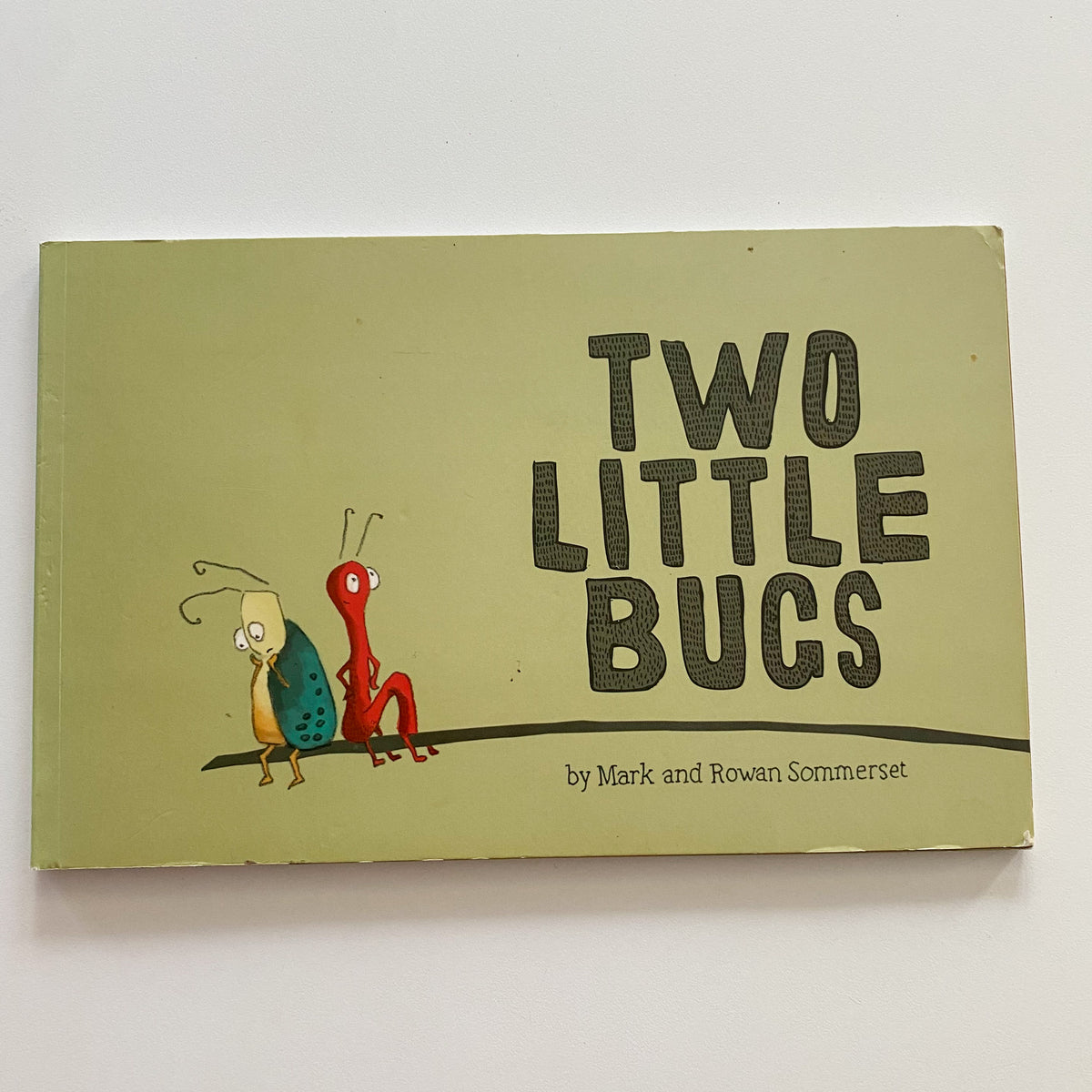 Two Little Bugs Book
