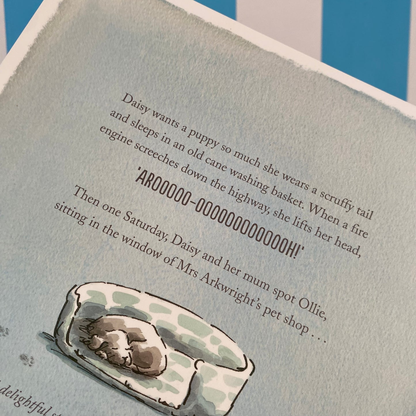 Daisy & The Puppy Book