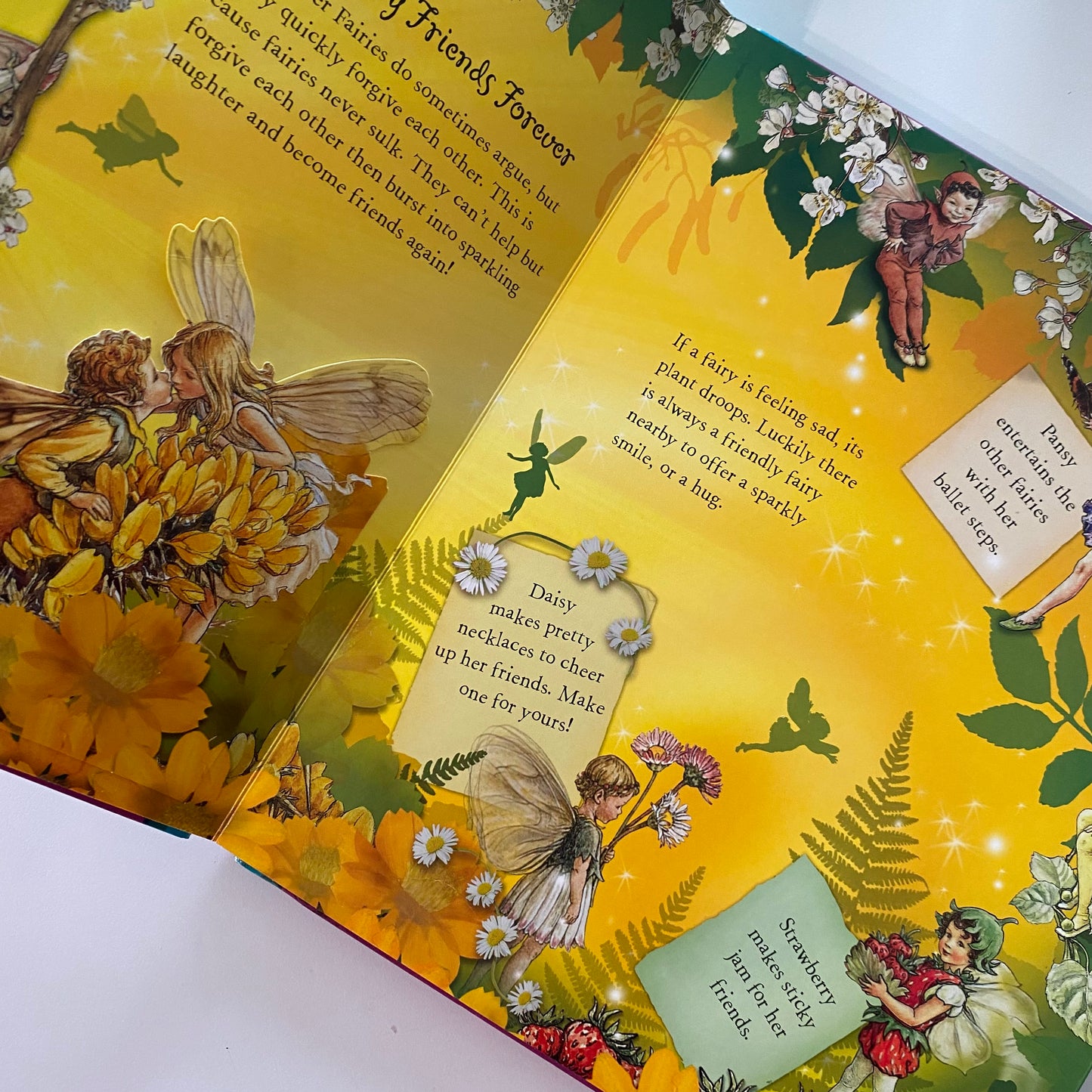 Flower Fairies Sparkle Like A Flower Fairy Book
