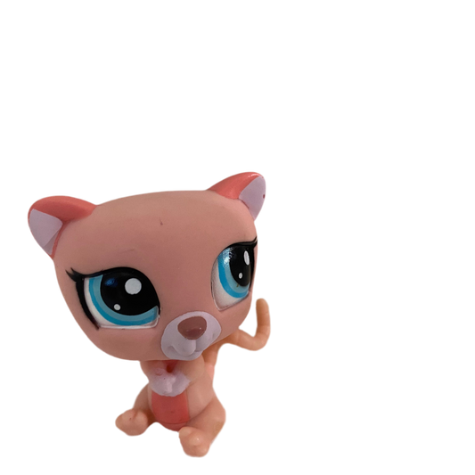 Littlest Pet Shop #1625 Possum