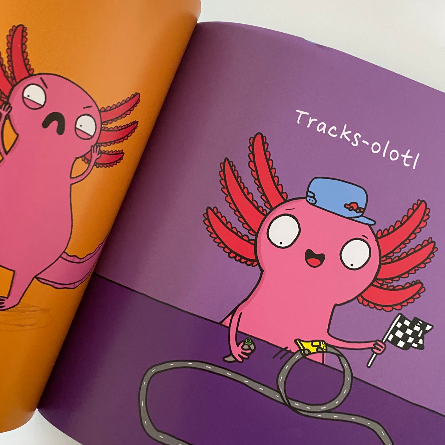 No One Really Knows An… Axolotl Book