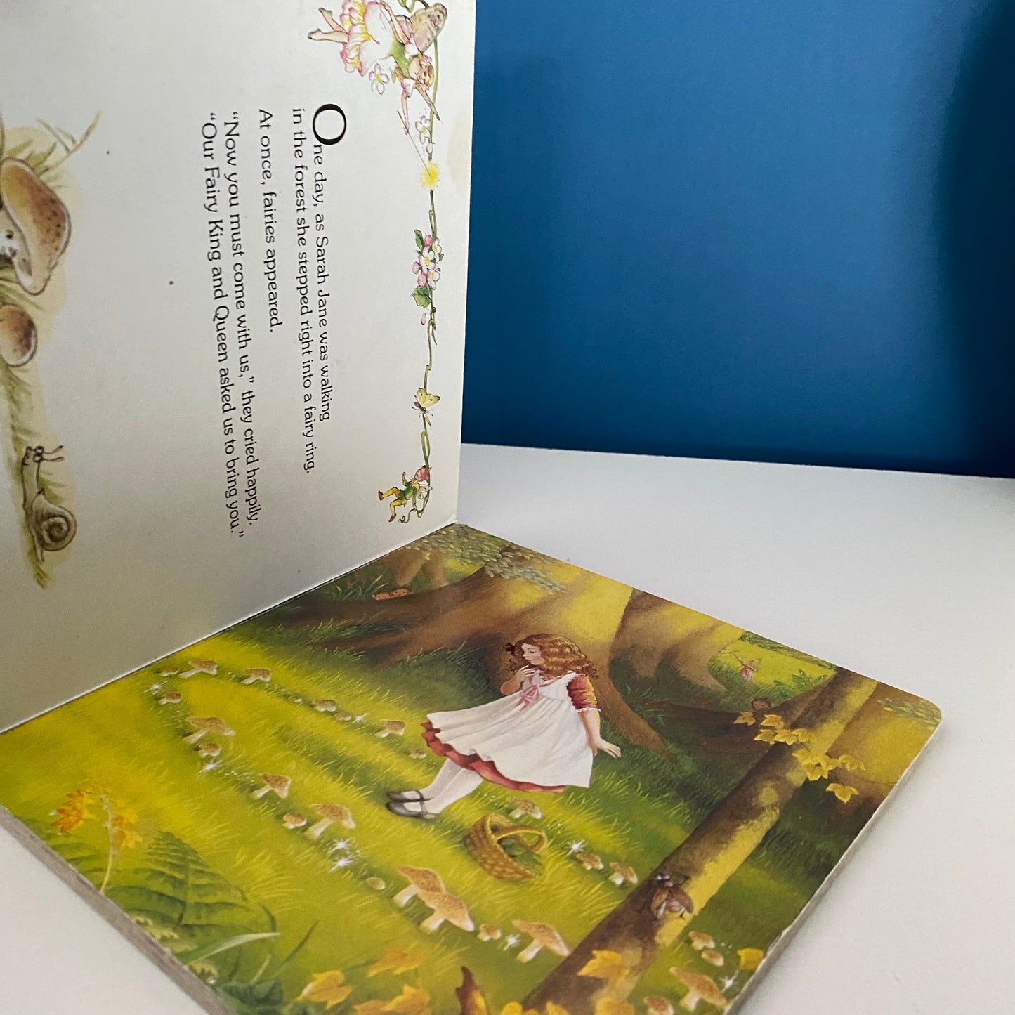 Shirley Barber The Enchanted Woods Board Book