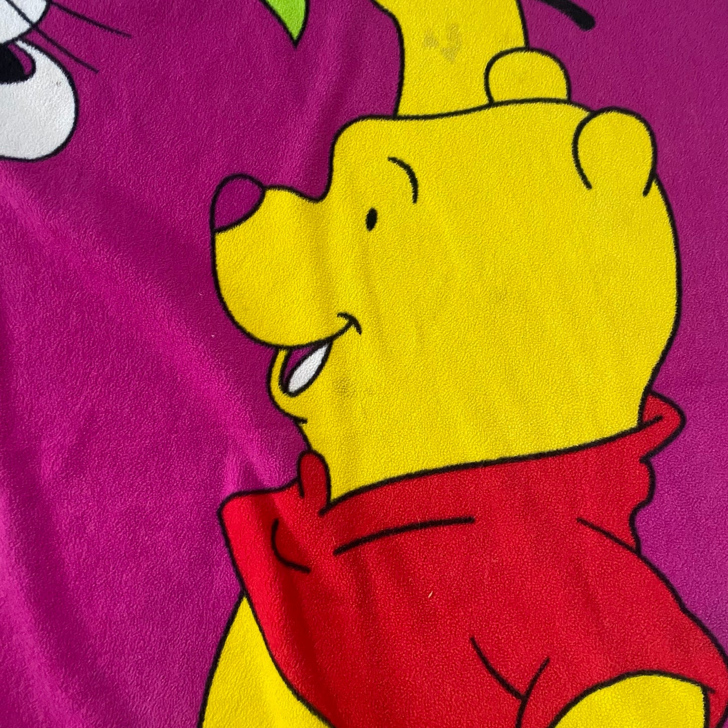 Disney Winnie The Pooh Fleece Queen Blanket