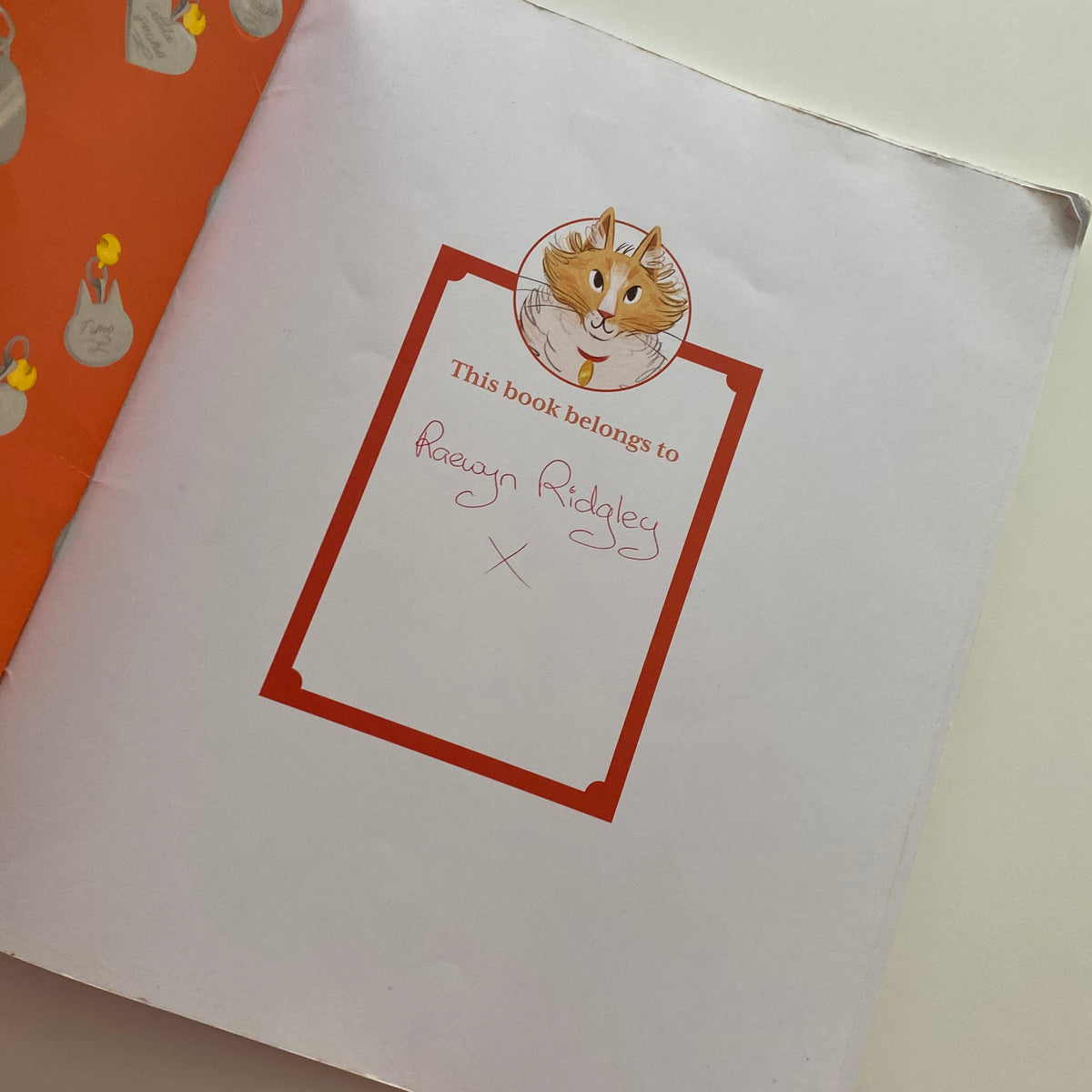 The Adventures Of Mittens Book